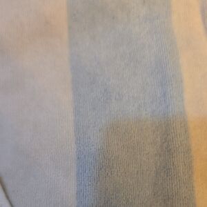 Wild Fable Blue and White Belt